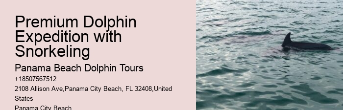 Snorkeling Tours