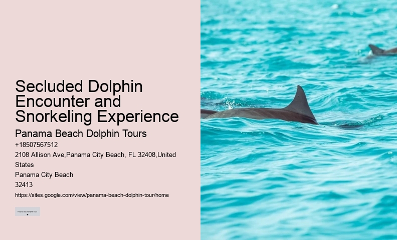 VIP Dolphin Discovery and Snorkeling Tours