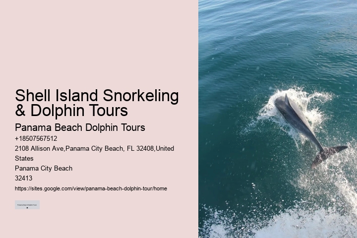 Panama City Beach dolphin excursion trips