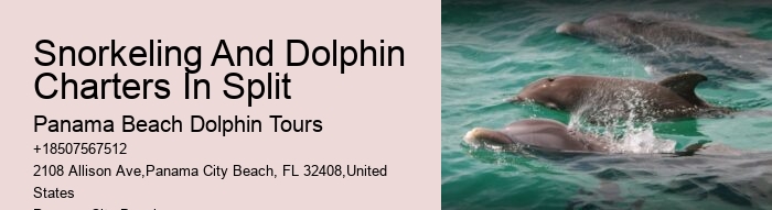 Port Aransas Dolphin Tours