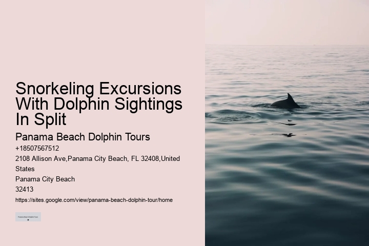 Private Dolphin Tours Orange Beach