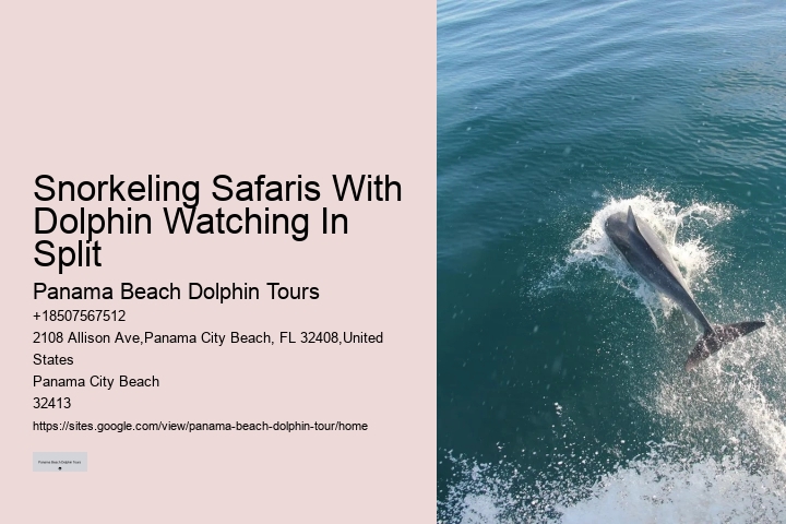 Will Dolphins Let You Touch Them