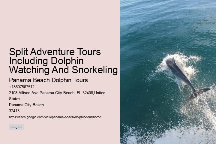 Dolphin Safari Tours PCB