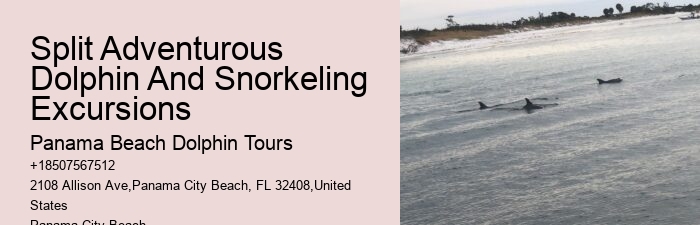Dolphin watching excursions at Panama City Beach