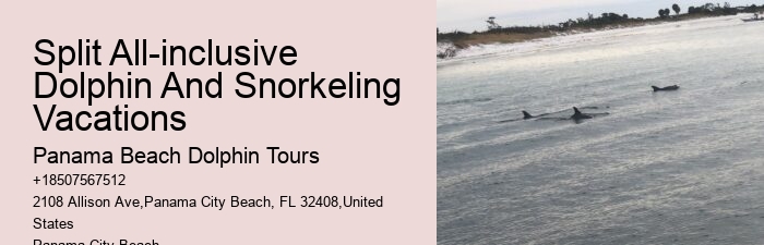 Snorkeling Safaris With Dolphin Watching In Split