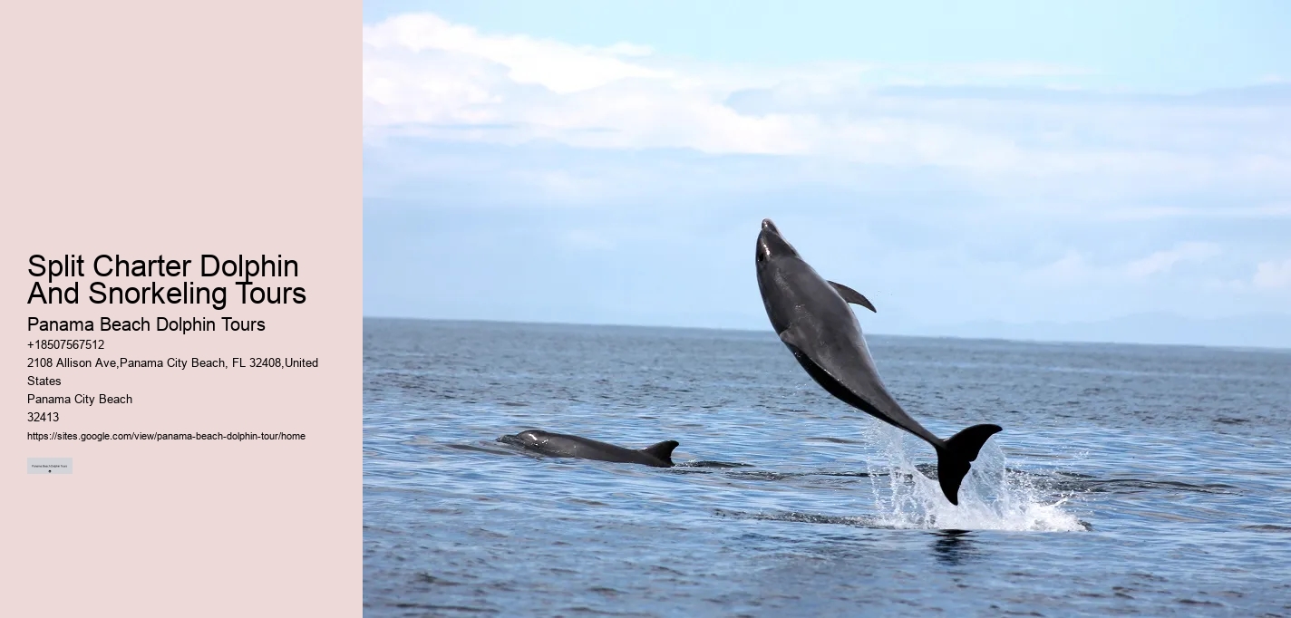 Ocean conservation