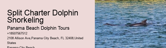 Split Guided Boat Tours For Snorkeling And Dolphin Watching