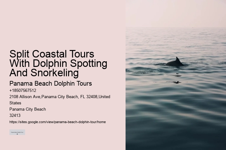 Deluxe Dolphin Expedition with Snorkeling