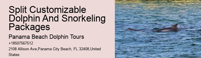 Panama City Beach Dolphin Tours Prices
