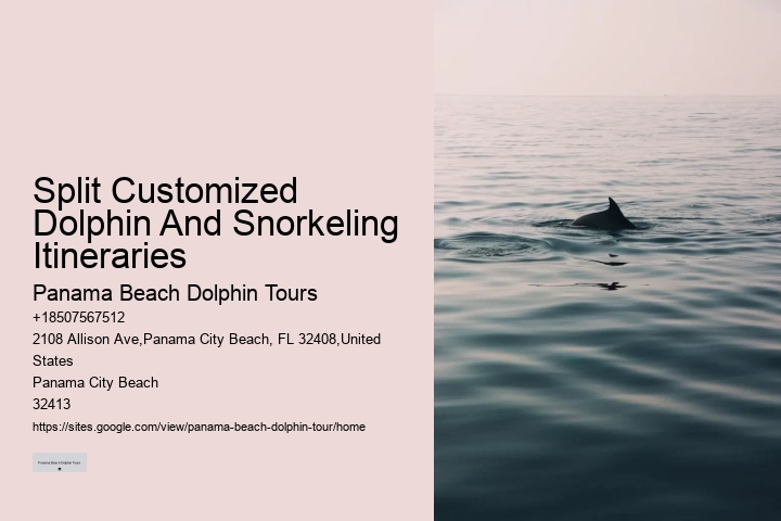 Guided Dolphin Expedition and Snorkeling Tours