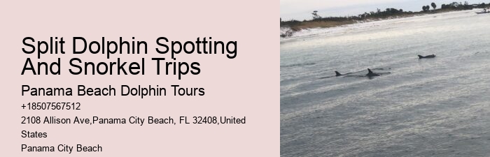 Best Panama City Beach Boat Tours