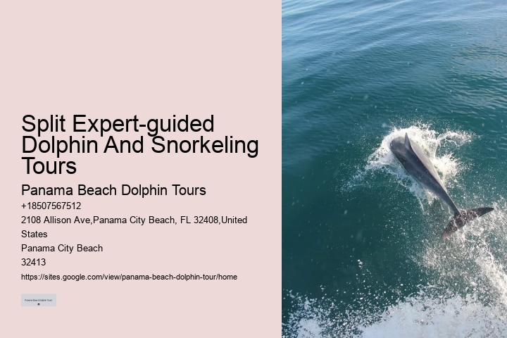 Best Excursion Panama City Beach