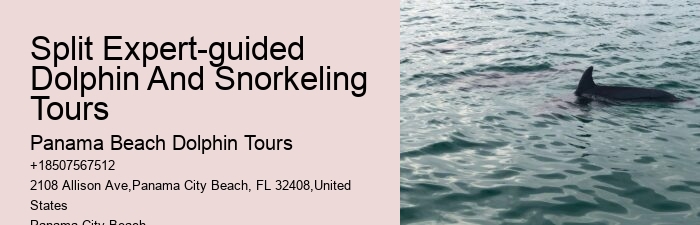 Come Swim With The Dolphins