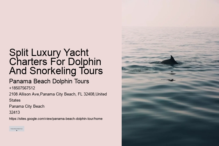 Exclusive Dolphin Expedition and Snorkeling