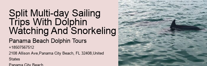 Panama City Beach Dolphin Adventure Cruises