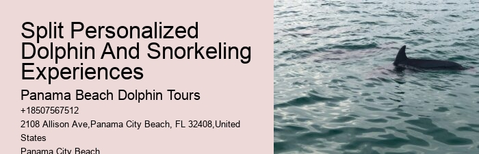 Panama City Beach marine life tours
