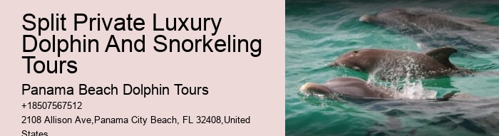 Secluded Dolphin Encounter and Snorkeling Experience