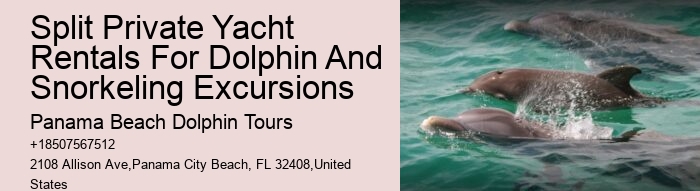 Panama City Dolphin Seafari Tours Panama City Beach Fl