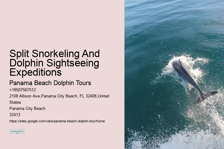 Panama City Beach dolphin excursions