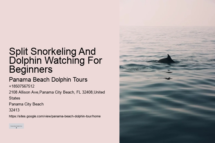 Split Luxury Dolphin And Snorkeling Yacht Charters