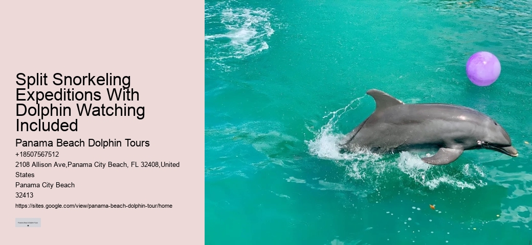 Split Coastal Tours With Dolphin Spotting And Snorkeling