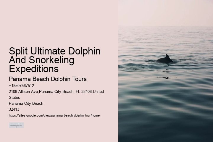 Are You Not Supposed To Touch Dolphins