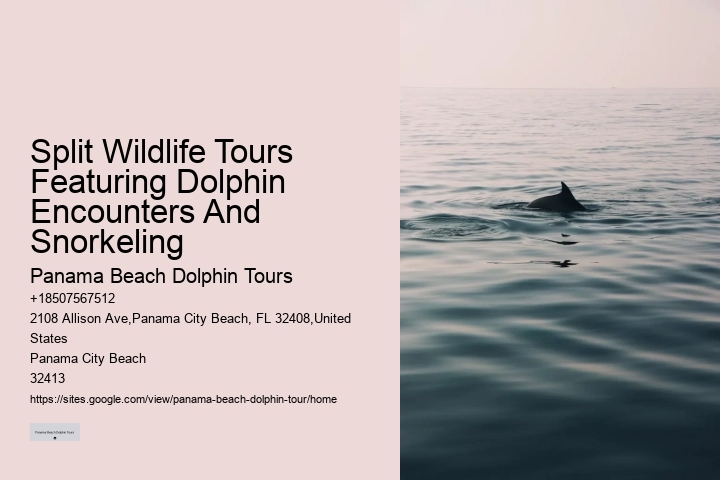 PCB Dolphin Encounters