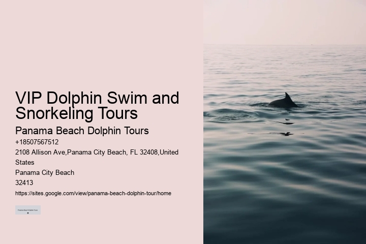 What Are Dolphins Worst Enemies