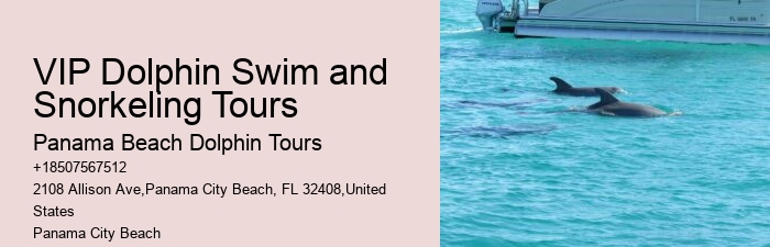 How much does a dolphin tour in Panama City Beach cost