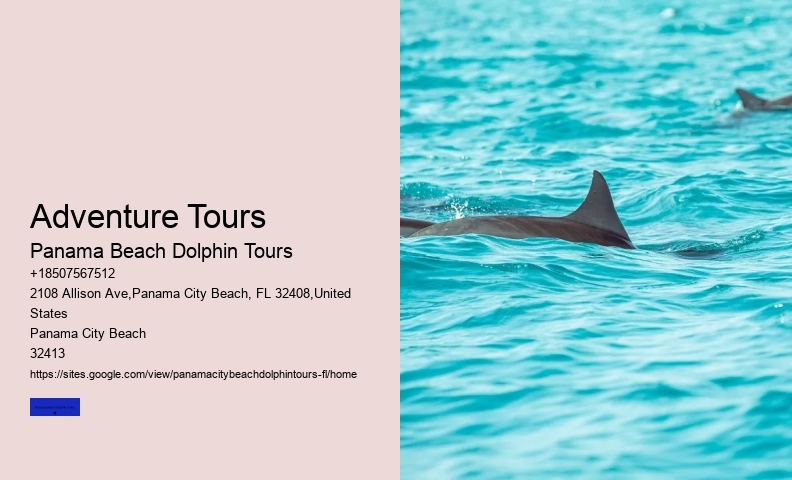 Affordable Dolphin