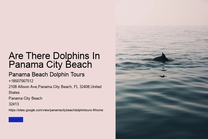 Panama City Beach Shell Island Dolphin Tour