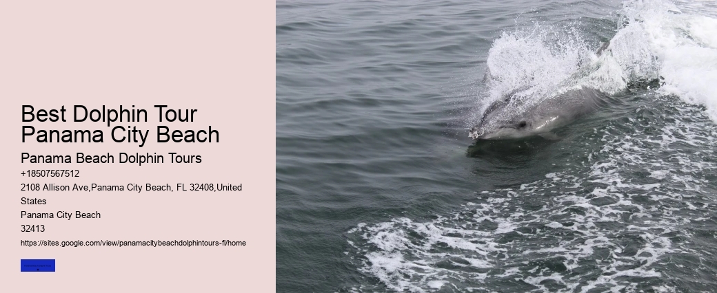 5 Reasons Not To Swim With Dolphins