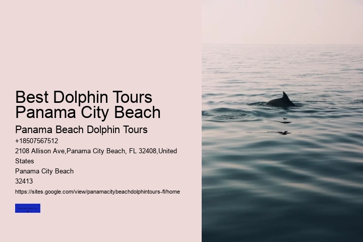 Do You See Dolphins In Panama City Beach