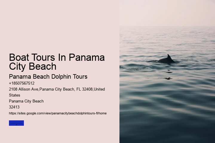 What Month Are Dolphins Most Active In Florida