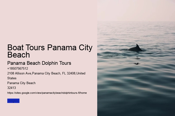 What Time Of Year Are Dolphins Most Active In Florida