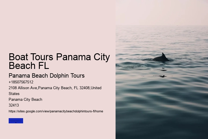 How Much Does It Cost To Swim With Dolphins In Panama City Beach