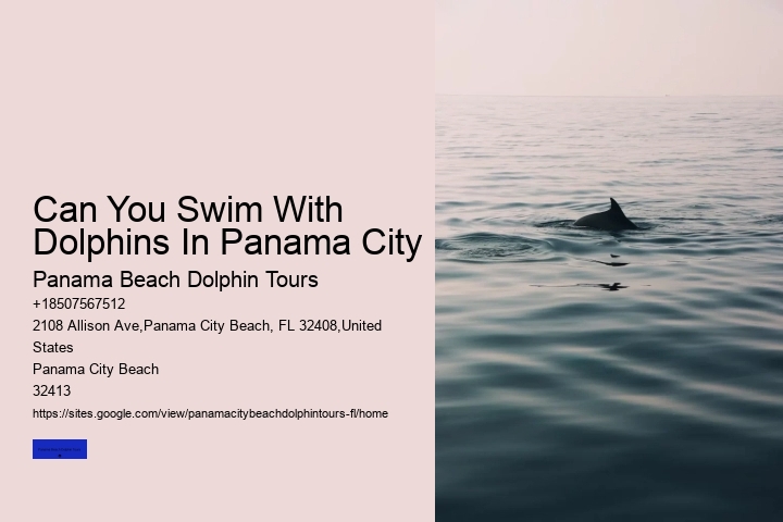 Dolphin Tales