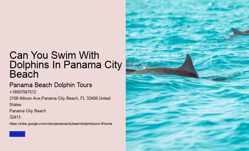 Dolphin Boat Tours Panama City Beach