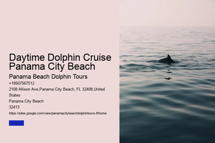 Daytime Dolphin Cruise Panama City Beach
