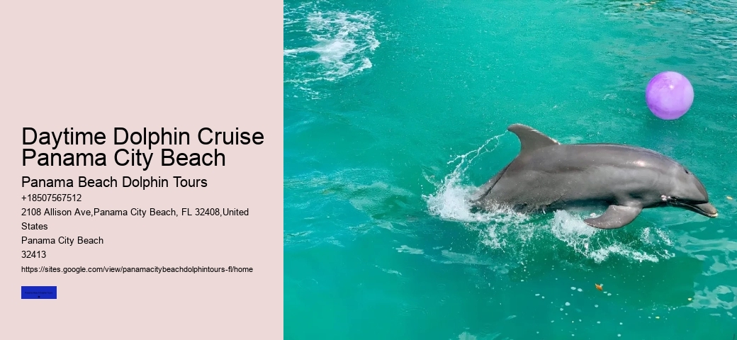 Wild Dolphin Tours