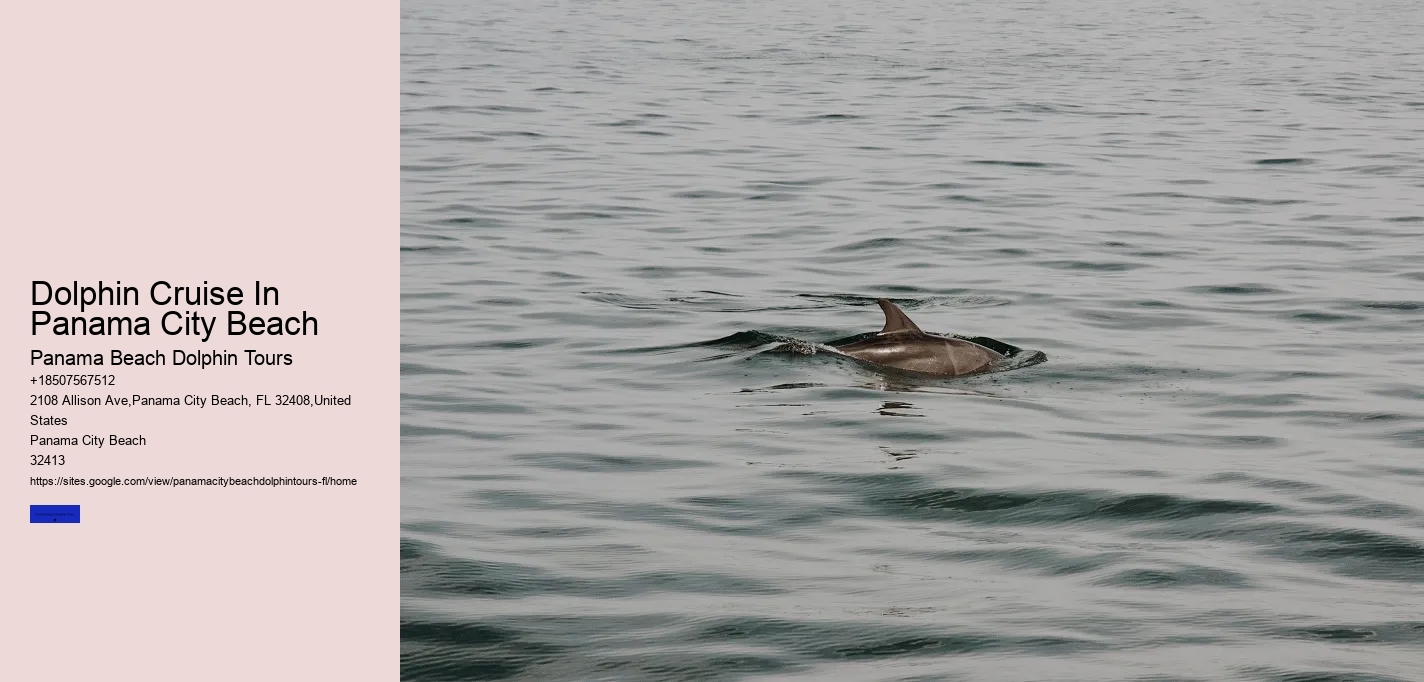 Dolphin Cruise In Panama City Beach