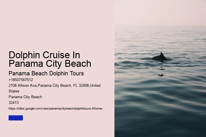 When Can You See Dolphins In Panama City Beach