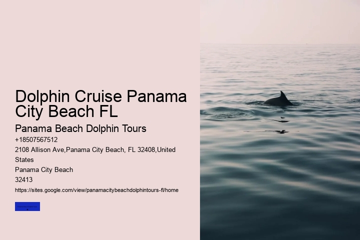 Dolphin Cruise Panama City Beach FL