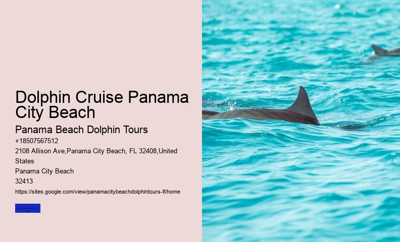 Cheap Pontoon Boat Rentals Panama City Beach