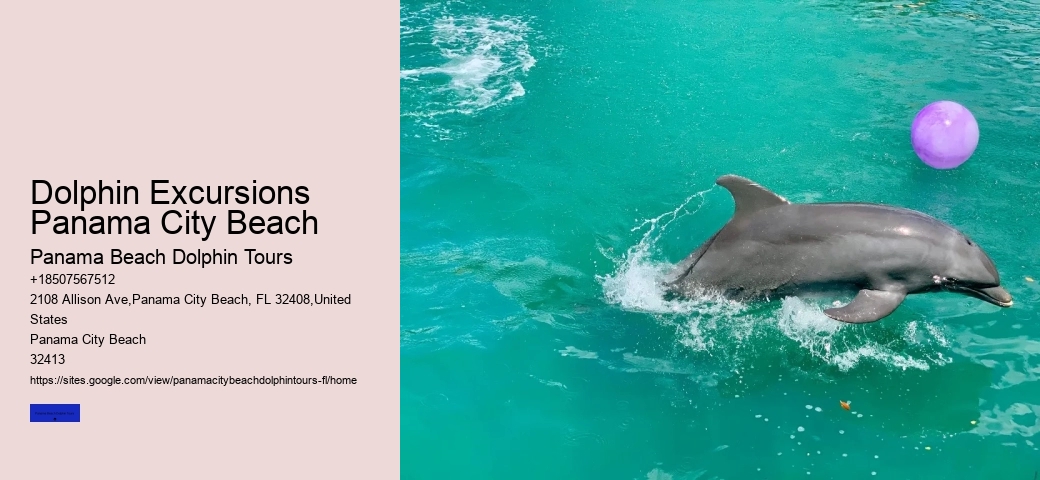 Panama City Beach Dolphin Sunset Cruise