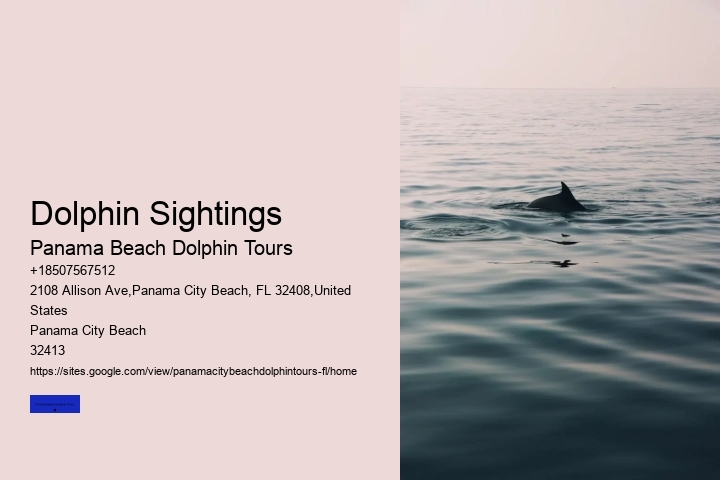 Dolphin Sightings