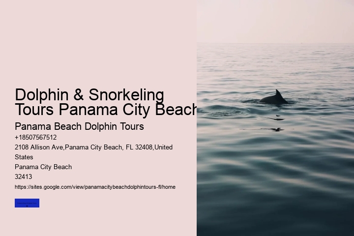Dolphin & Snorkeling Tours Panama City Beach