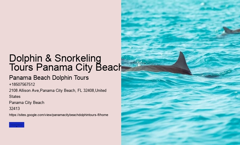 Dolphin And Snorkeling Tours Panama City Beach