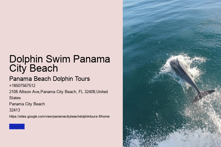Jet Ski Dolphin Tours
