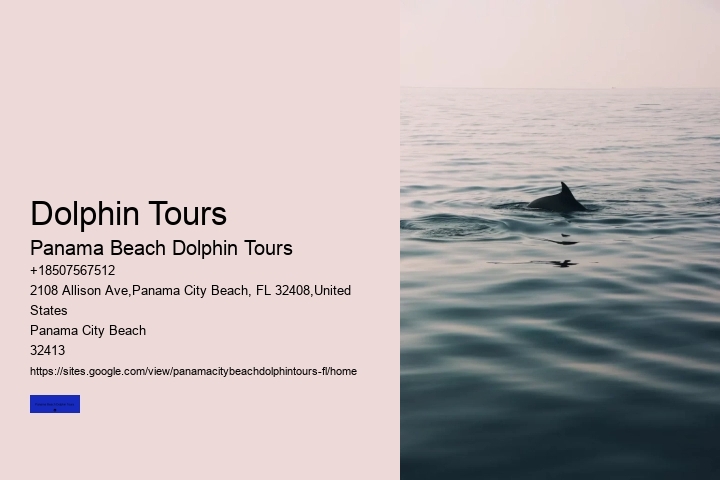 Swim With A Dolphin In Panama City Beach Florida